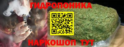 спайс Аргун