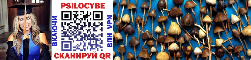 Псилоцибиновые грибы Magic Shrooms  Апшеронск 